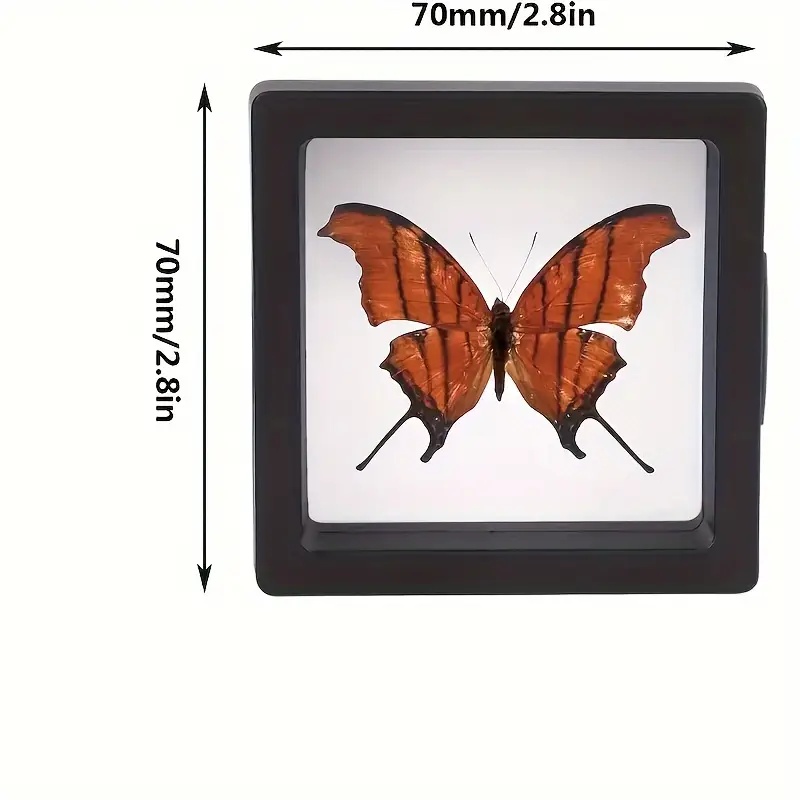 20 szt. Przezroczyste etui eks – Jewelry Making Tray recenzja i cena